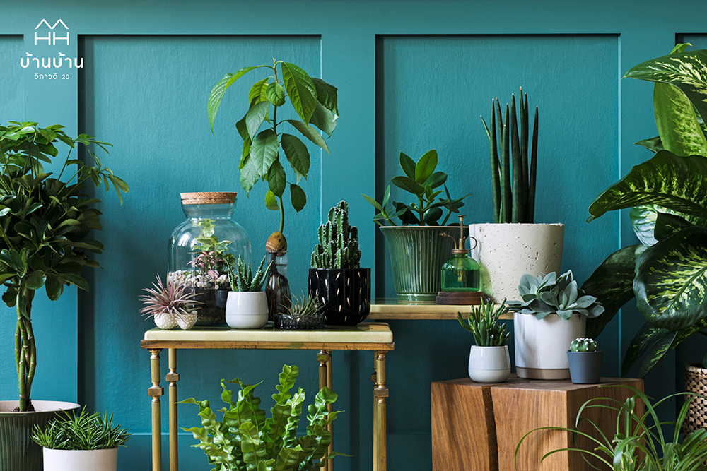 บ้านบ้าน วิภาวดี 20