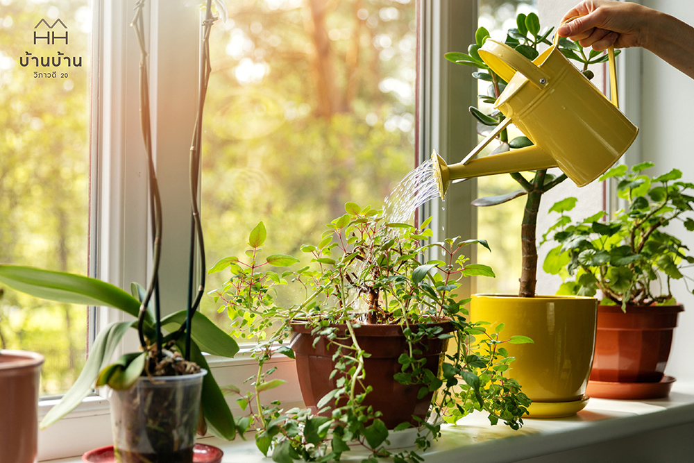 บ้านบ้าน วิภาวดี 20