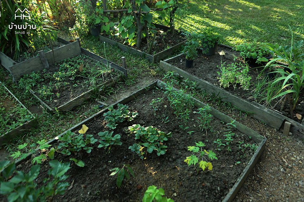 บ้านบ้าน วิภาวดี 20